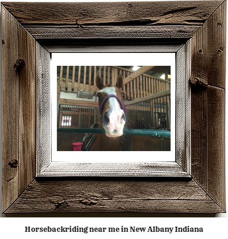 horseback riding near me in New Albany, Indiana